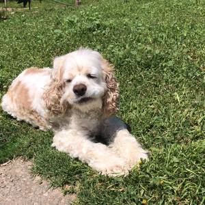 Meet your Posher, Andy